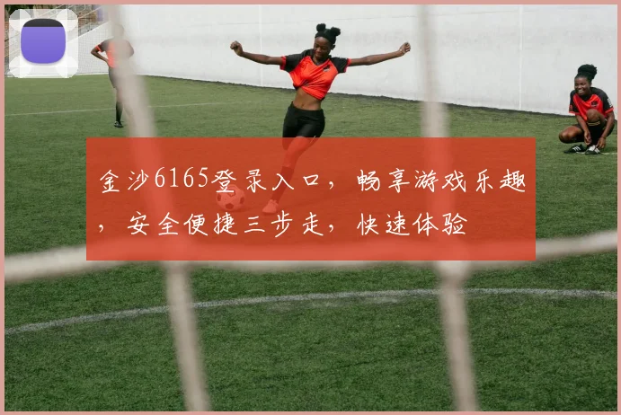 金沙6165登录入口，畅享游戏乐趣，安全便捷三步走，快速体验
