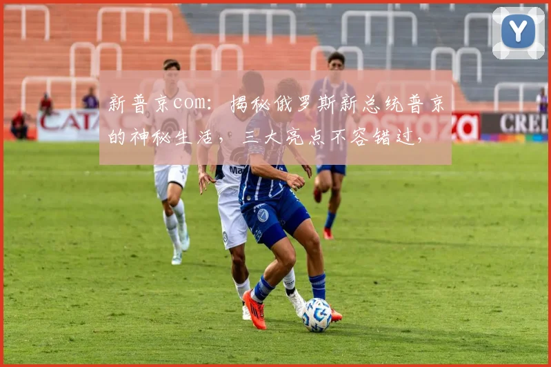 新普京com：揭秘俄罗斯新总统普京的神秘生活，三大亮点不容错过，深度解析